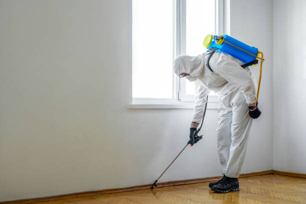 Best Local Pest Control Services  in Aiken, SC