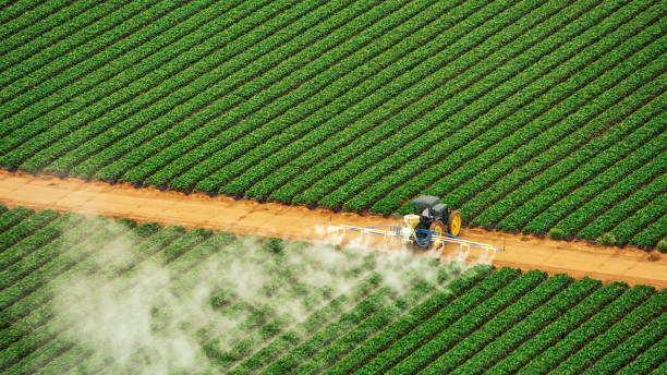 Pest Prevention Services in Aiken, SC