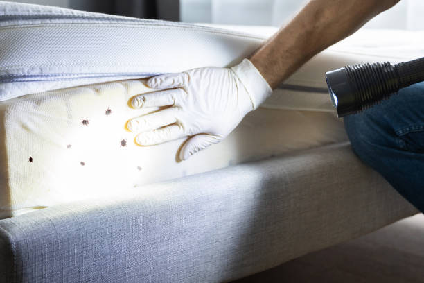 Best Pest Control Near Me  in Aiken, SC
