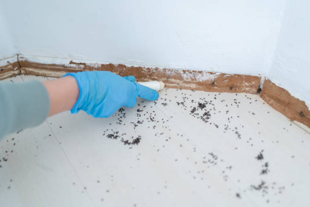 Best Affordable Pest Control Services  in Aiken, SC