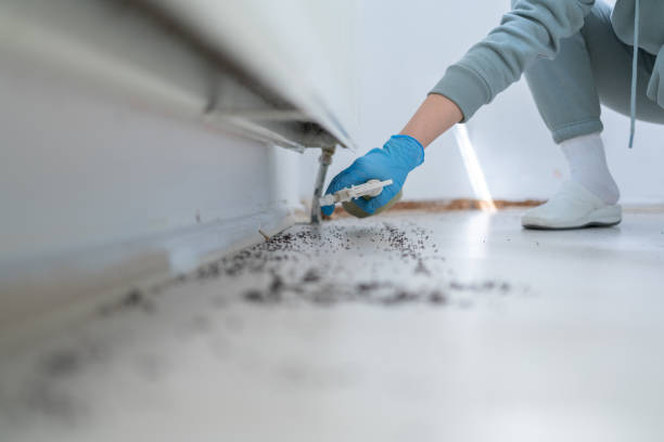 Best Best Pest Control Companies  in Aiken, SC