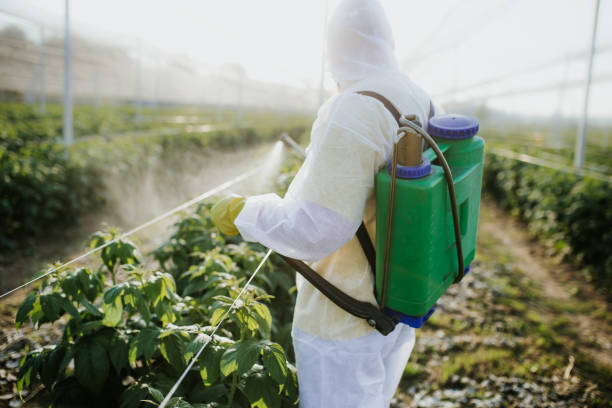 Trusted Aiken, SC Pest Control Experts